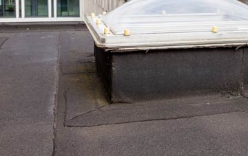 disadvantages of Flawith flat roofs