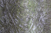 Flawith fibreglass roof work